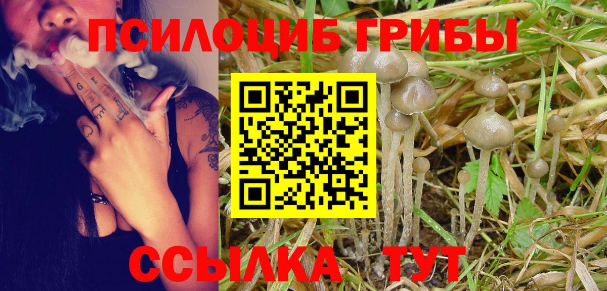 Псилоцибиновые грибы мухоморы Тобольск