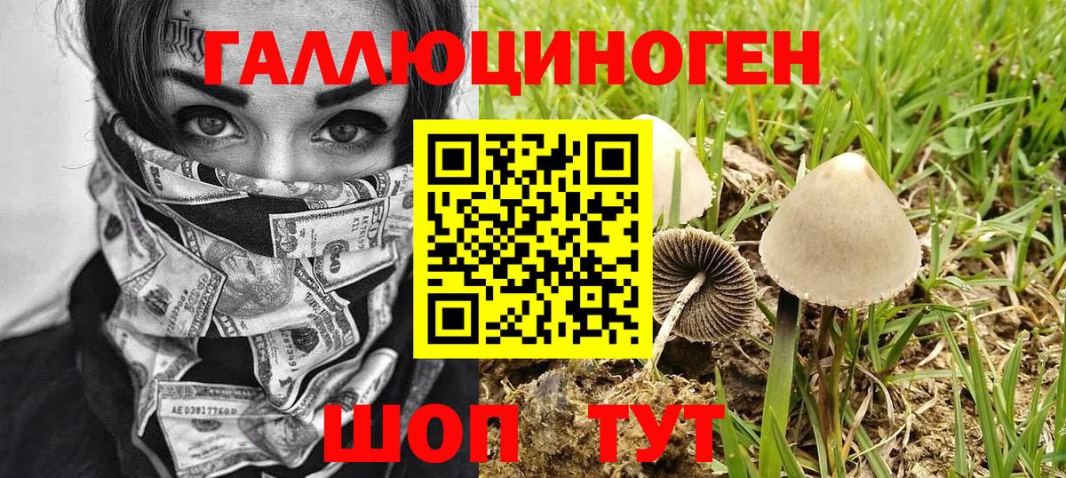 Тобольск  Псилоцибиновые грибы прущие грибы  Вход с VPN 